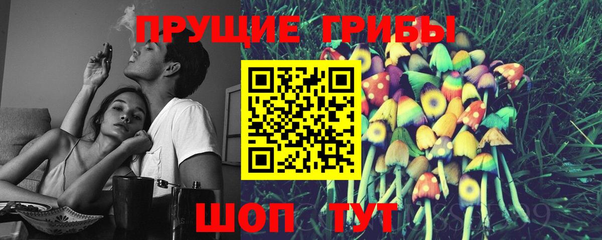 Нижнеудинск  Галлюциногенные грибы Psilocybe  Псилоцибиновые грибы Psilocybine cubensis  Вход с VPN 